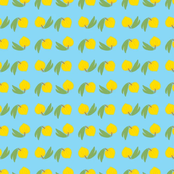 Желтый Канистель Лукума Яйцо Фрукты Бесшовный Рисунок Бирюзовом Фоне — стоковый вектор