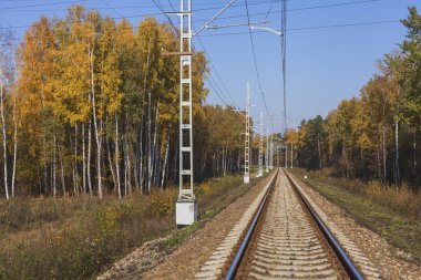 Sonbahar sarı ormanlarında yalnız demiryolu mavi gökyüzü ve huş ağaçlarıyla