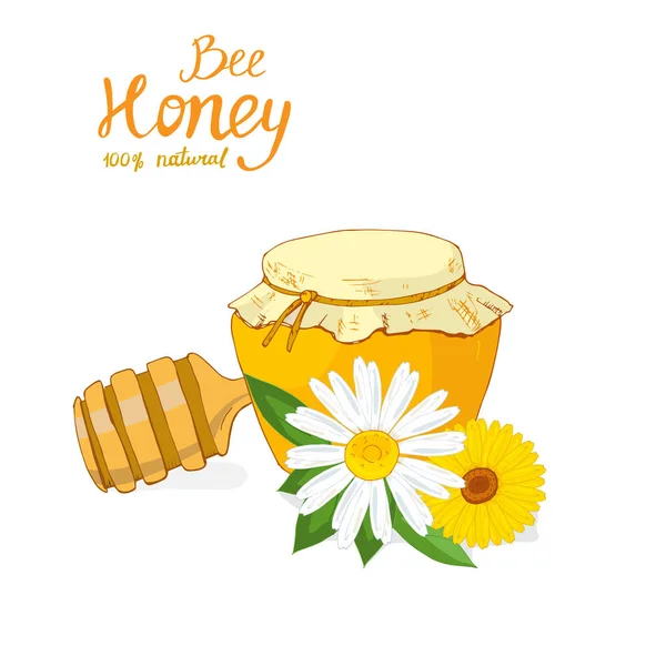Méz Egy Edényben Százszorszép Virágok Egy Kanál Méz — Stock Vector