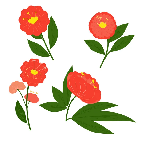Conjunto de flores rojas con hojas verdes sobre fondo blanco. Aislado en — Vector de stock