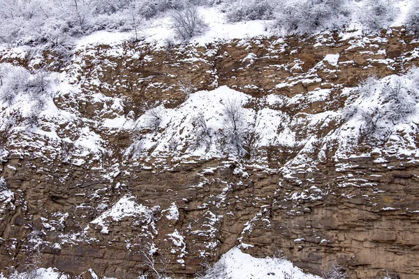 Kırmızı Sülin. Kanyonun kayalıkları karda
