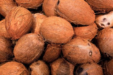 Bir yığın tropikal meyve, soyulmamış, kıllı hindistan cevizi. Egzotik meyveler yakın plan.