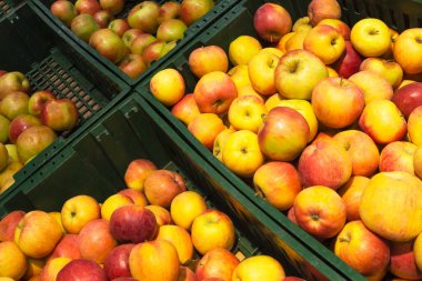 Renkli elmalar sınıflandırılır ve tezgahtaki yeşil kutulara yerleştirilir. Vejetaryen gıda, sağlıklı beslenme, doğal vitaminler..
