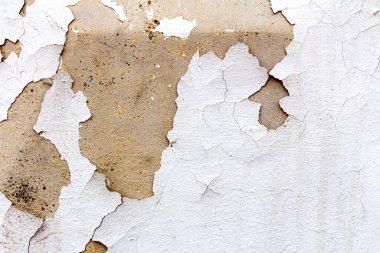 Çatlak beyaz boya kalıntıları olan beton bir duvarın dokusu. Yaşlılık kavramı, gerçek görünüş..