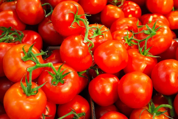 Monte Tomates Frescos Maduros Vermelhos Com Galhos Verdes Estão Balcão Fotos De Bancos De Imagens