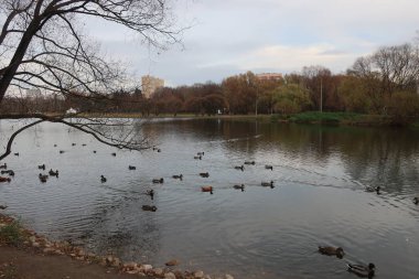 Parktaki güzel doğa.