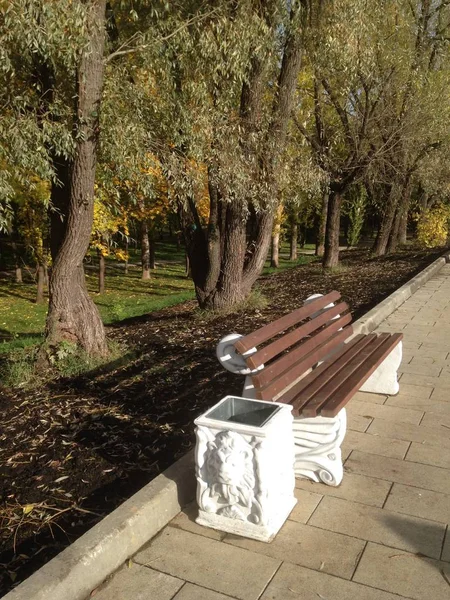 Parkta güzel tezgah