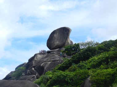 Maymun adasında kaya yelkeni