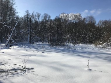 Kışın doğa güzel ve karlıdır.