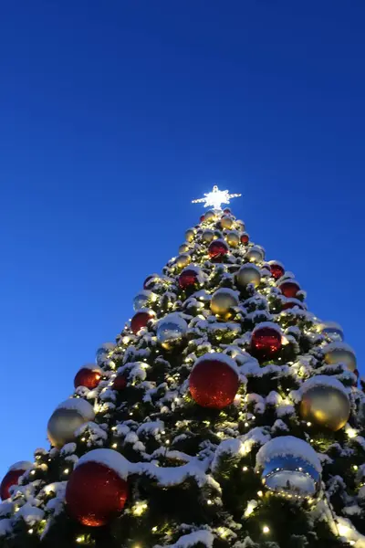 Dostluk Parkı 'nda güzel bir Noel ağacı