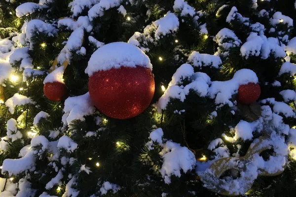 Parktaki Noel ağacı süslemeleri Druzhbe