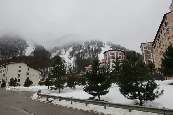 Krasnaya Polyana 'daki dağlarda sis