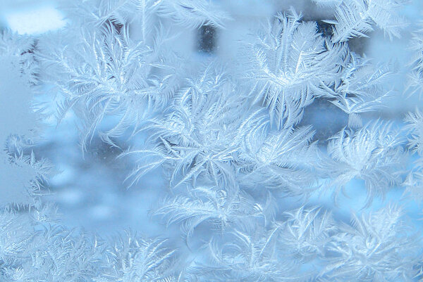 Frosty pattern at a winter window glass