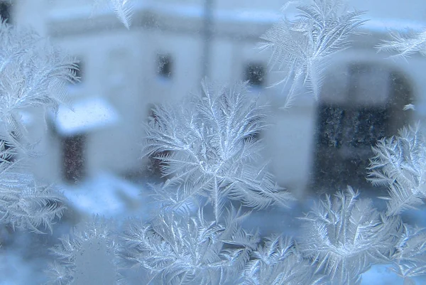 Frost'un üzerinde bir pencere bölmesi