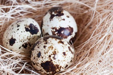 Üç bıldırcın yumurtası. Yakın plan..