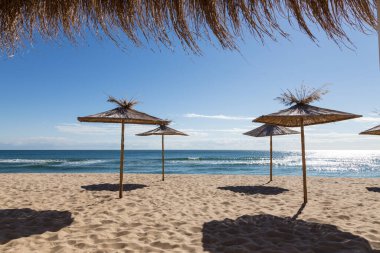 Kumlu bir sahilde dört kamış şemsiyeli deniz pelerini.