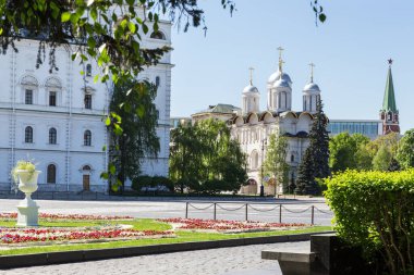 Güneşli bir yaz gününde Moskova Kremlin topraklarında. Kremlin, Moskova, Rusya.
