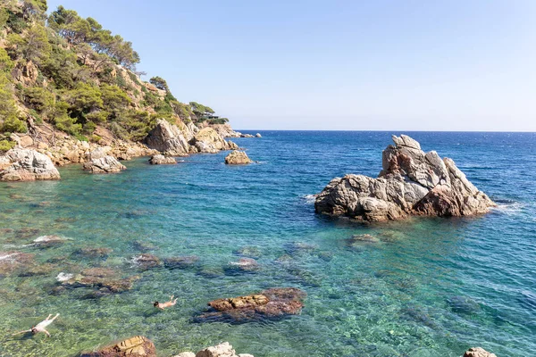 Costa Rochosa Mar Mediterrâneo Belo Dia Verão Dois Jovens Mergulhos — Fotografia de Stock