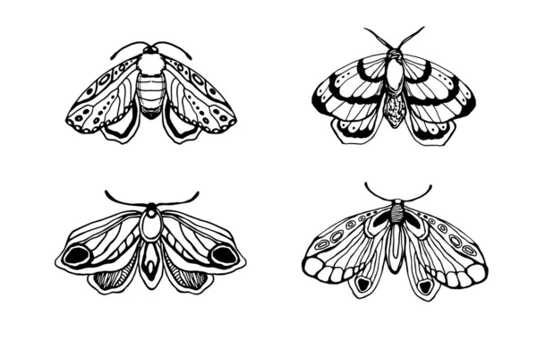 Vektor Satz Von Umrissen Schwarzer Schmetterling Isoliert Auf Weißem Hintergrund — Stockvektor