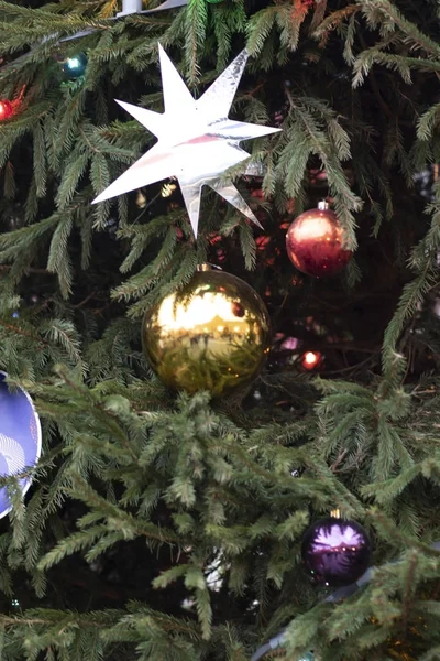 Homem Fotógrafo Sai Perto Alojamento Cristmas — Fotografia de Stock