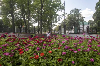  Çiçekler, Ostankino kulesi manzaralı yorgun fotoğrafçılar.