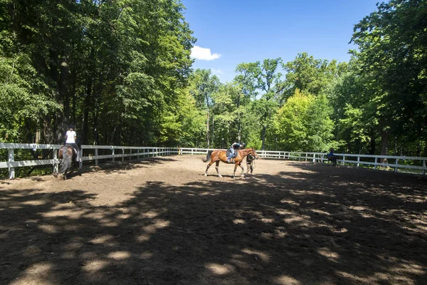 Ostankino Parkı 2 'nin arkasında at binicilerinin olduğu bir binicilik eğitim üssü.