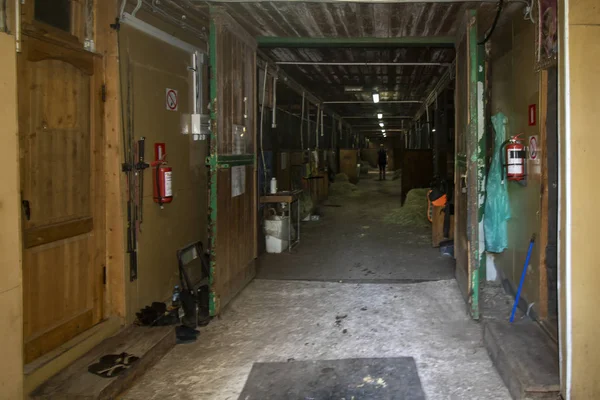 Ostankino parkındaki ahırların iç manzarası.