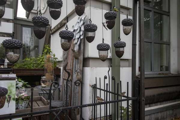 Orijinal beslenme yalakları kasaba kuşlarını çeker.