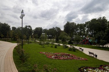 Yeşil ağaçların ve sokakların arka planında çiçek tarhı olan yeşil çimenler.