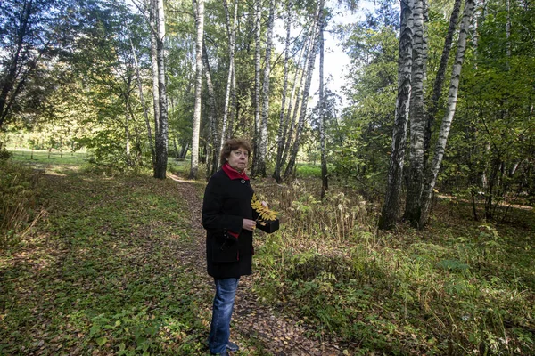 Sonbahar. Kırmızı yakalı, siyah ceketli bir kadın ayakta duruyor ve sarı yaprakları huş ağacının arka planında tutuyor.