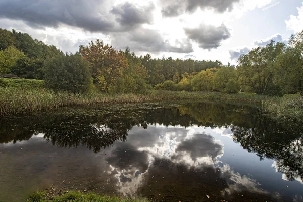 Sonbahar. Bulutlu gökyüzü, parkın çevresindeki ormanın arka planına karşı gölde yansıyor..