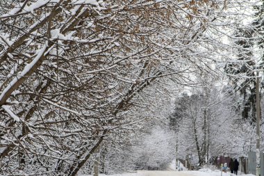 Kış. Manzara. Köyde yürüyen insanlar, yol karla kaplı..