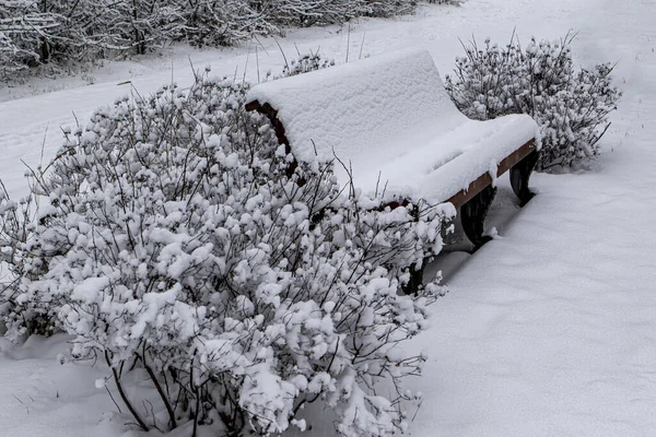 Kış. Manzara. Sokak bankı karla kaplı çalılarla çevrili.