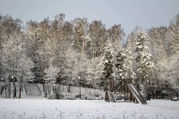 Winter. Scenery. Morning the sun rose the tops of fir-trees covered with snow are covered with a wooden slide for children in the snow.