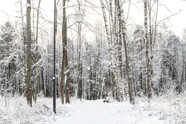 Kış. Manzara. Kar Geçidi, Fener ve Benç