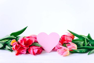 Greeting card and pink tulipp flowers on white background