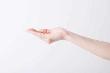 Empty female hand making gesture like holding something on white background.