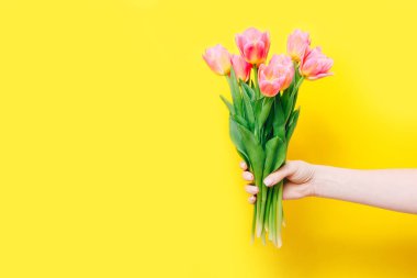 Woman holding a spring bouquet of pink tulips in her hand on yellow background