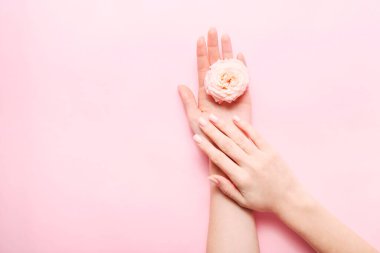 Beautiful woman manicure on creative trendy pink background. Minimalist manicure trend. Top view, flat lay. Copy space for your text.