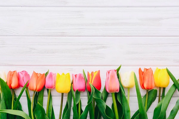 Top nézet színes tulipánok egy sorban fehér fa asztal — Stock Fotó