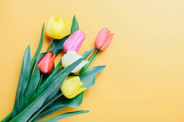Gyönyörű tulipánok sárga háttérrel, másolás helyet. Felülnézet — Stock Fotó