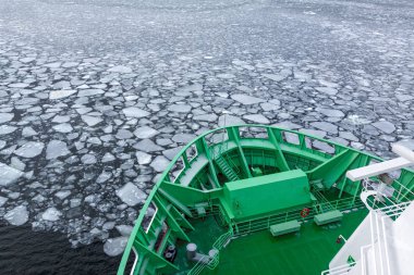 Yolcu gemisi buzun içinden geçiyor.