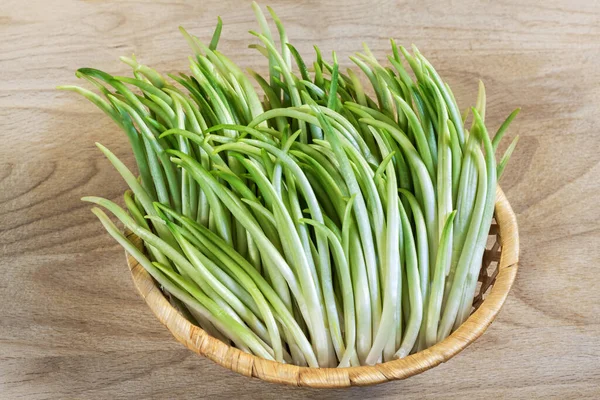 Bärlauch sprießt in einem Weidenkorb auf einem hölzernen Hintergrund in Großaufnahme — Stockfoto