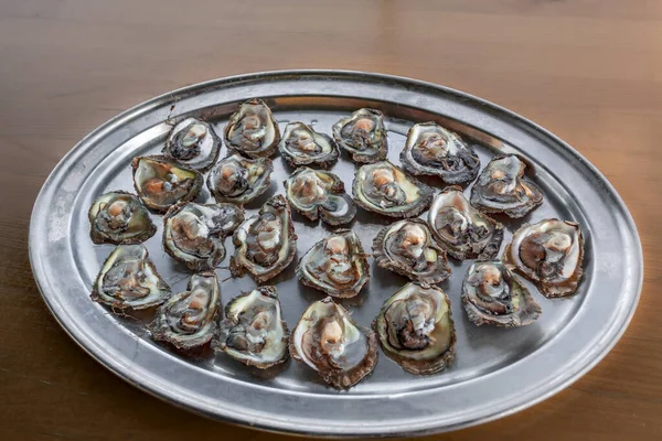 Средиземноморские свежие устрицы на столе на металлическом подносе с морской фермы — стоковое фото