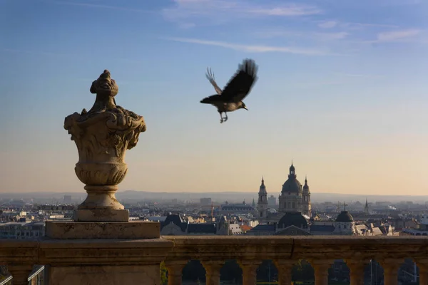 Budapeşte 'nin büyük sarayı, Tuna Nehri' nin diğer tarafından manzara.