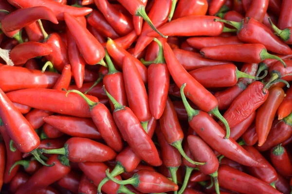 kırmızı sıcak biber