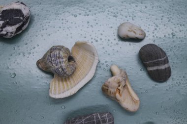 İç tasarım için deniz çakıl taşları.