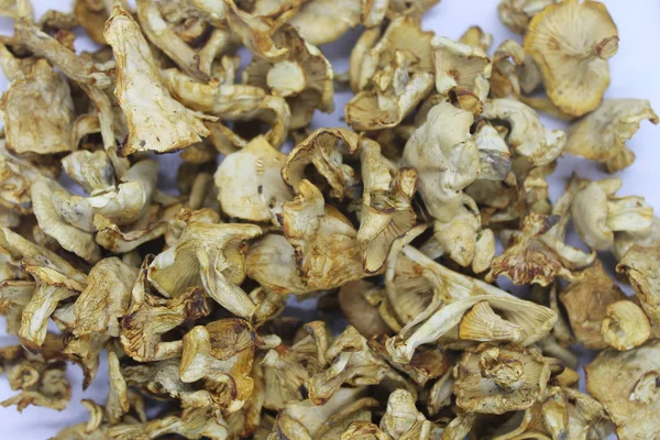 Pişirmek için kurutulmuş mantar..