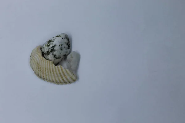 İç tasarım için deniz çakıl taşları.