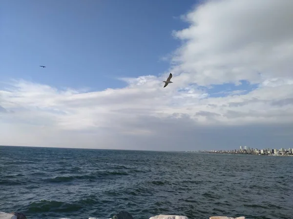 Karadeniz kıyısında tatil..